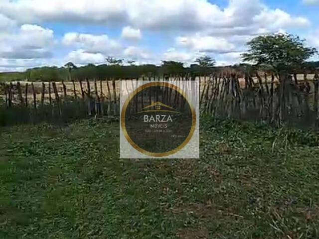 Fazenda para Venda em Ingazeira - 4