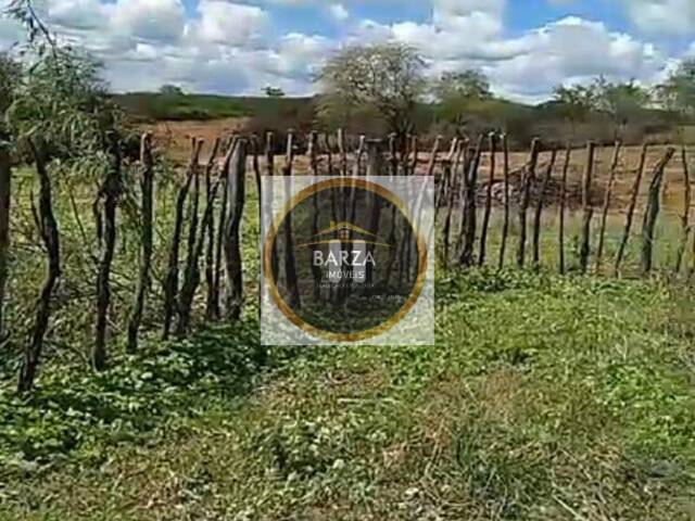 Fazenda para Venda em Ingazeira - 5