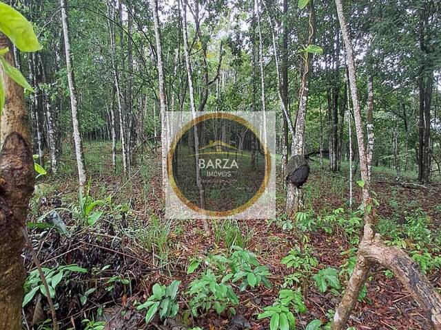 Área para Venda em Camaragibe - 5