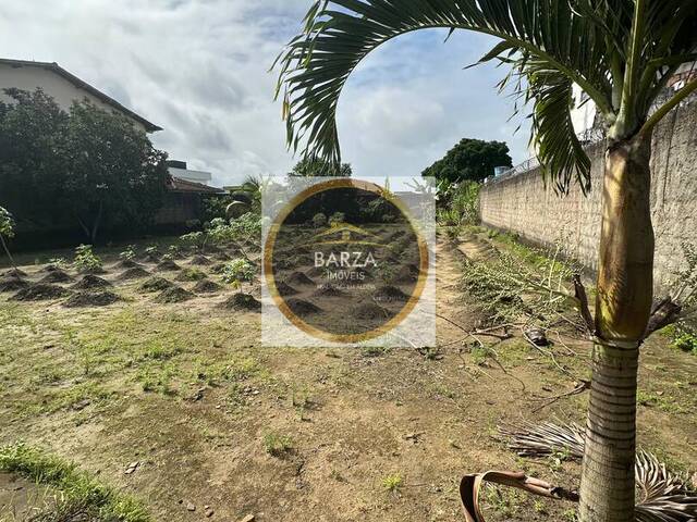#1199 - Terreno para Venda em Camaragibe - PE - 3