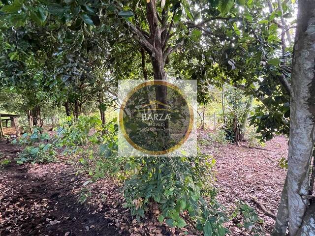 #1567 - Terreno para Venda em Camaragibe - PE - 3